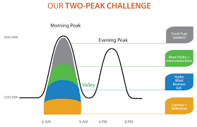 Seasonal and Peak Demand Support